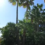 Casa Olivia *
