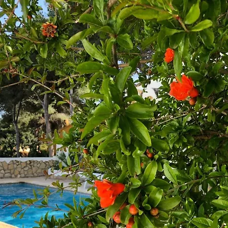 Casa Olivia مورايرا