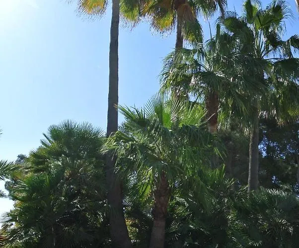 Casa Olivia *