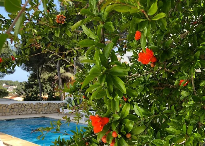 Casa Olivia Moraira